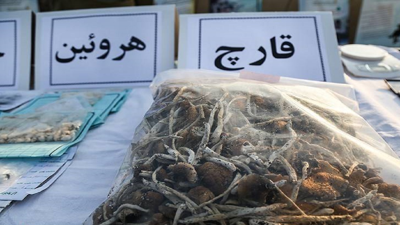 خزیدن دغدغه‌ای زیر پوست حیات نسل آینده/ گلی که بر عکس اسمش زندگی جوانان را نشانه گرفته است