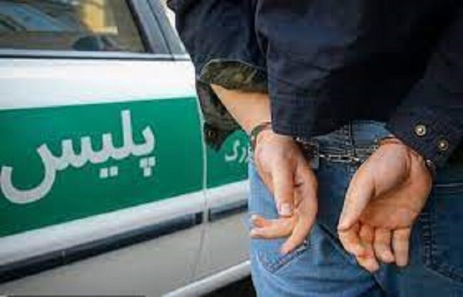 اعتراف متهم به ۲۰ فقره سرقت و مالخری در اماکن خصوصی – خبرگزاری مهر | اخبار ایران و جهان