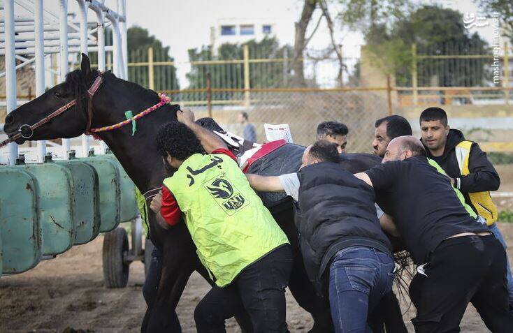 مشرق نیوز – عکس/ مسابقات کورس اسبدوانی کشور در اهواز