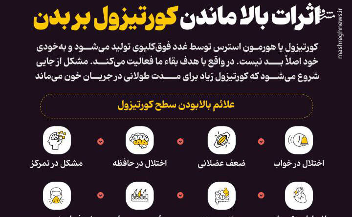 مشرق نیوز – اینفوگرافیک/ اثرات بالا ماندن کورتیزول بر بدن