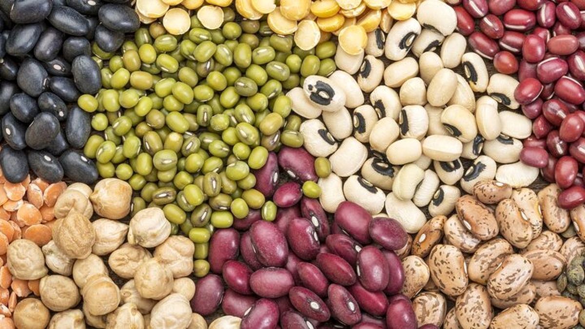 قیمت برخی حبوبات غیرشرکتی در میادین و بازار‌های میوه و تره‌بار تهران اعلام شد