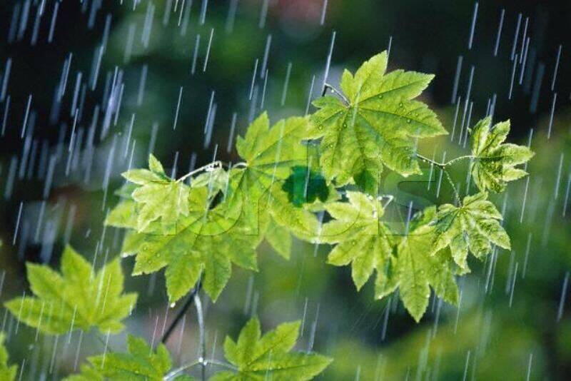 تداوم بارش در ۲۴ استان
