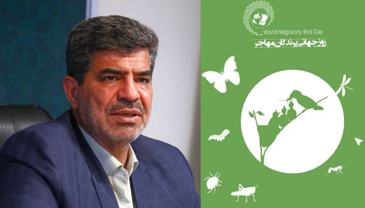 انجام اقدامات موثر در حفظ زیستگاه پرندگان مهاجر ضروری است