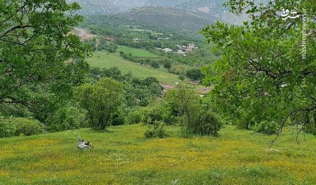 مشرق نیوز – عکس/ طبیعت زیبای روستای قلعهگاه روانسر مشرق نیوز – عکس/ طبیعت زیبای روستای قلعهگاه روانسر