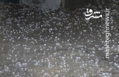 تصاویری دیگر از بارش شدید تگرگ در مشهد تصاویری دیگر از بارش شدید تگرگ در مشهد