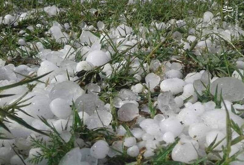 بارش تگرگ ۲۰۰ گرمی در خوی