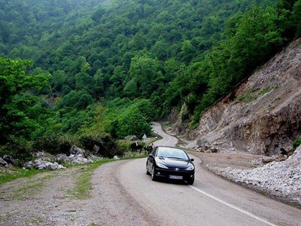 دادستانی آمل به حل مشکلات جاده آمل – چمستان ورود کرد – خبرگزاری مهر | اخبار ایران و جهان