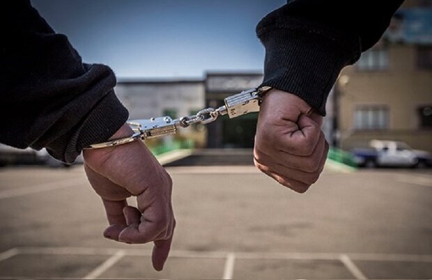 دستگیری زن قاتل در ایوانکی/ اختلافات شخصی عامل قتل بود – خبرگزاری مهر | اخبار ایران و جهان