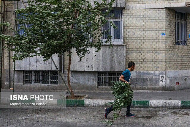 وزش باد شدید و گرد و خاک در نقاط مختلف کشور 