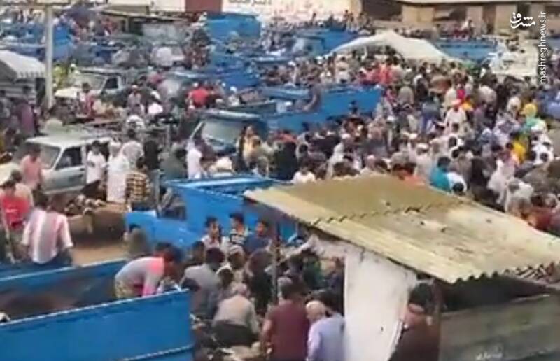 حال‌ و هوای بازار دام گنبد کاووس