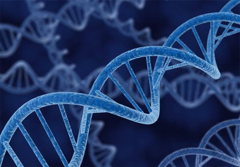 چرایی تاخیر در اعلام آزمایشات “DNA”
