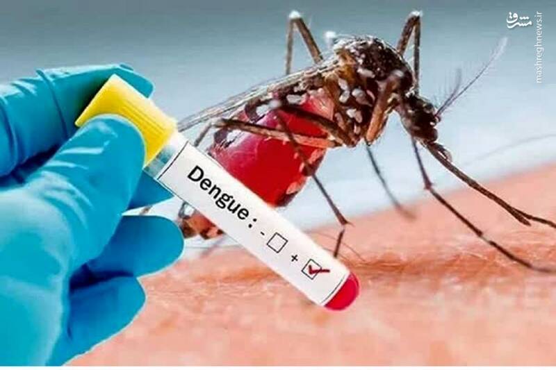 مشرق نیوز – اینفوگرافیک/ هرآنچه باید در مورد تب دنگی بدانید