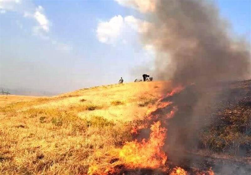 شناسایی ۱۶ مظنون آتش‌سوزی جنگل‌های کوهدشت
