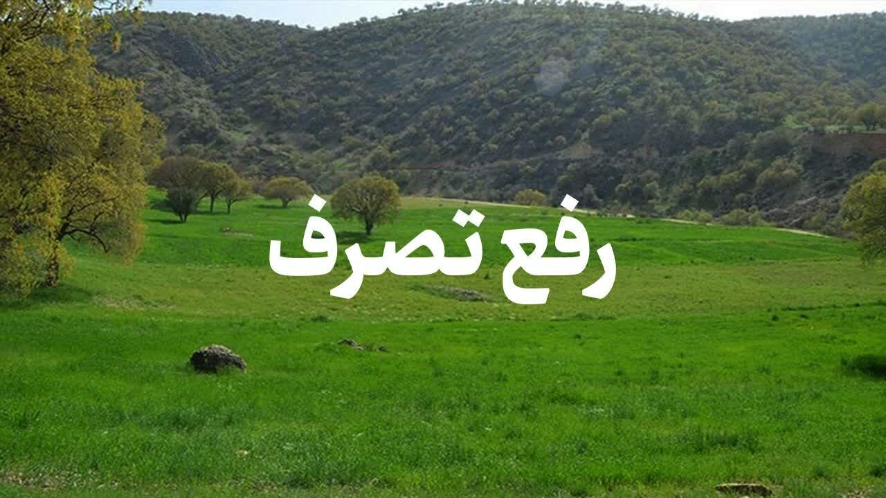 رفع تصرف اراضی ۱۴۰ میلیارد ریالی در لنگرود – خبرگزاری مهر | اخبار ایران و جهان
