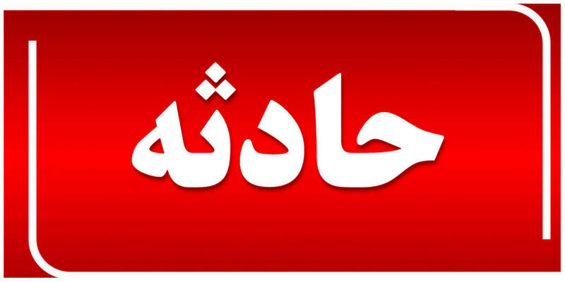 شلیک به پسر همسایه به جای شکار پرنده شلیک به پسر همسایه به جای شکار پرنده