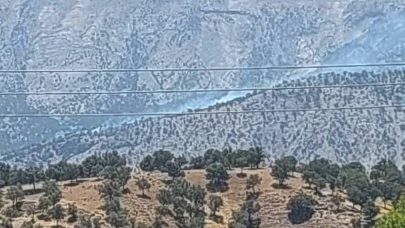 آتش سوزی گسترده در جنگل‌ها و مراتع کهگیلویه