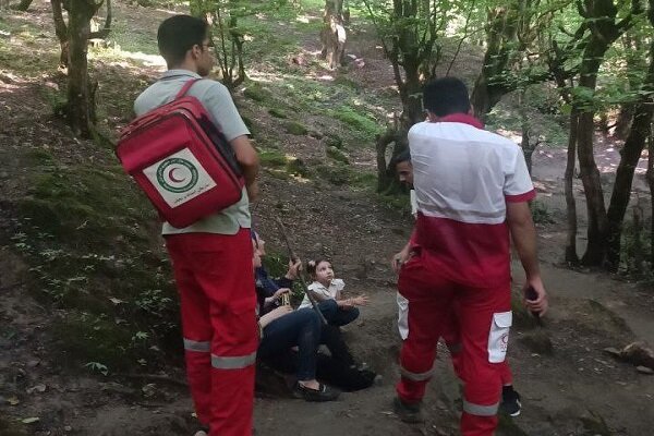 عملیات جست‌وجو و نجات ۳ گمشده در جنگل‌های رامسر توسط هلال احمر – خبرگزاری مهر | اخبار ایران و جهان