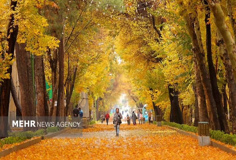 علایم افسردگی پاییزی – مشرق نیوز