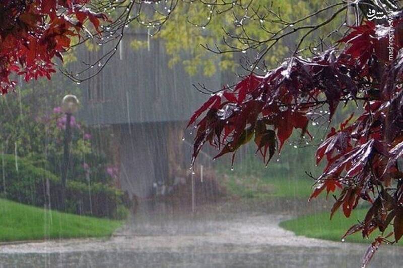 اولین باران پاییزی در نیمه شمالی کشور