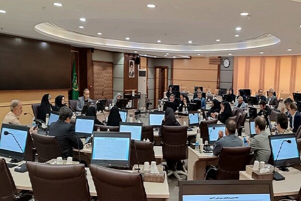 تدوین شاخص برای رصد میزان اجرای قانون حمایت از حقوق معلولان – خبرگزاری مهر | اخبار ایران و جهان