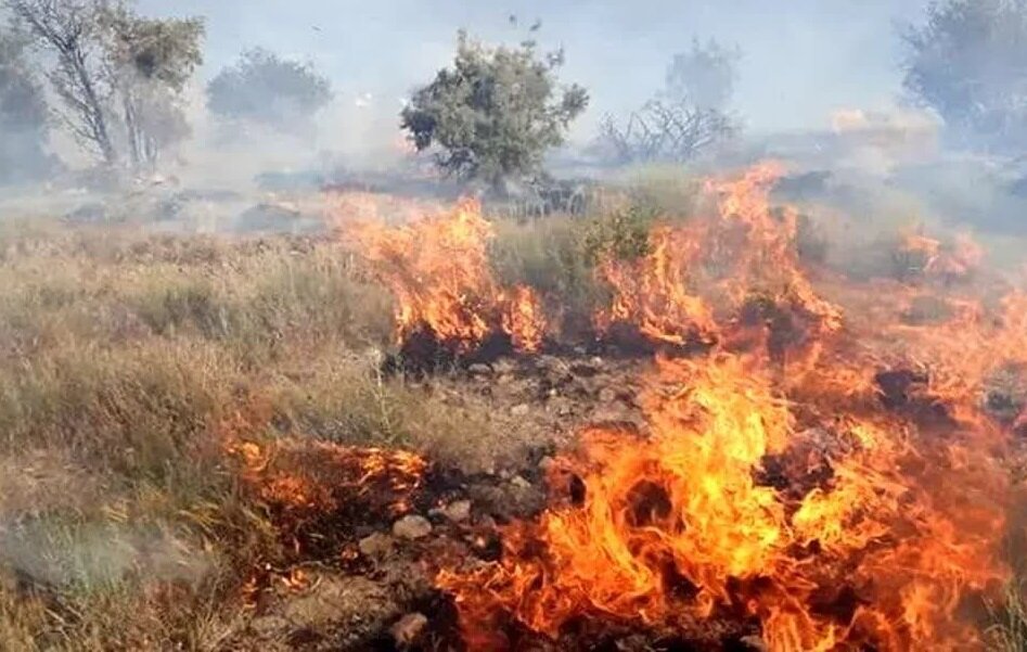 آتش سوزی در مراتع بغنه بزرگ شرقی دامغان رخ داد – خبرگزاری مهر | اخبار ایران و جهان