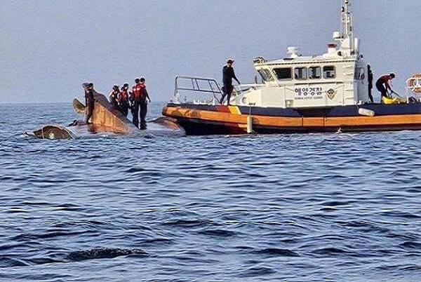 نجات ۸ نفر پس از واژگونی قایق ماهیگیری در سواحل غربی کره جنوبی – خبرگزاری مهر | اخبار ایران و جهان