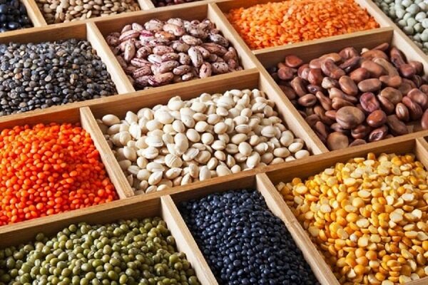 جریمه ۱۳ میلیاردی قاچاقچی حبوبات – خبرگزاری مهر | اخبار ایران و جهان