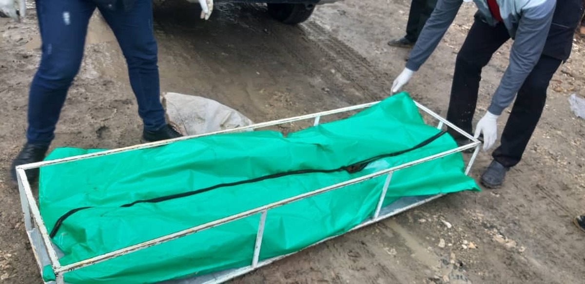 ماجرای هولناک پیدا شدن جسدی در جنوب تهران