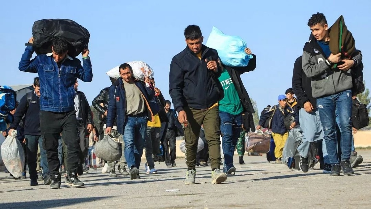 حضور ۵ میلیون تبعه خارجی در کشور؛ چند درصد آنها بدون مدارک اقامتی هستند؟ حضور ۵ میلیون تبعه خارجی در کشور؛ چند درصد آنها بدون مدارک اقامتی هستند؟