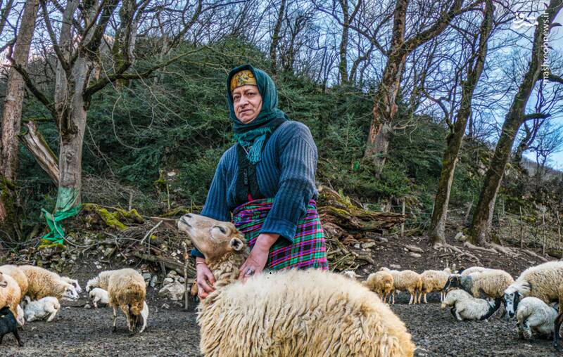 مشرق نیوز – عکس/ زندگی روستایی مشرق نیوز – عکس/ زندگی روستایی