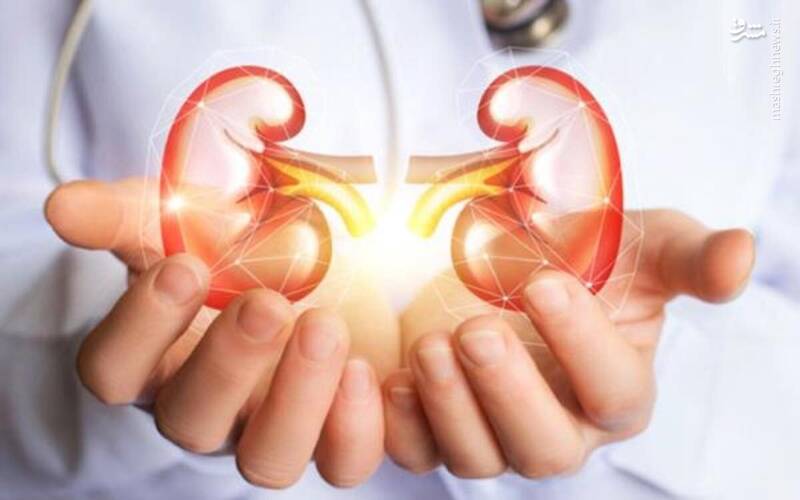 مشرق نیوز – اینفوگرافیک/ علائم اولیه اختلالات کلیوی چیست؟