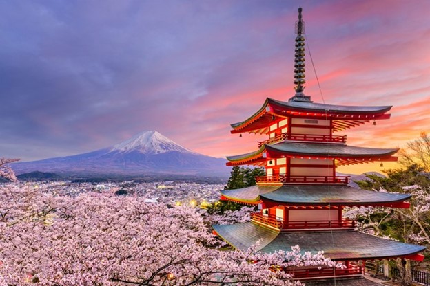 A pagoda with cherry blossoms in the backgroundDescription automatically generated