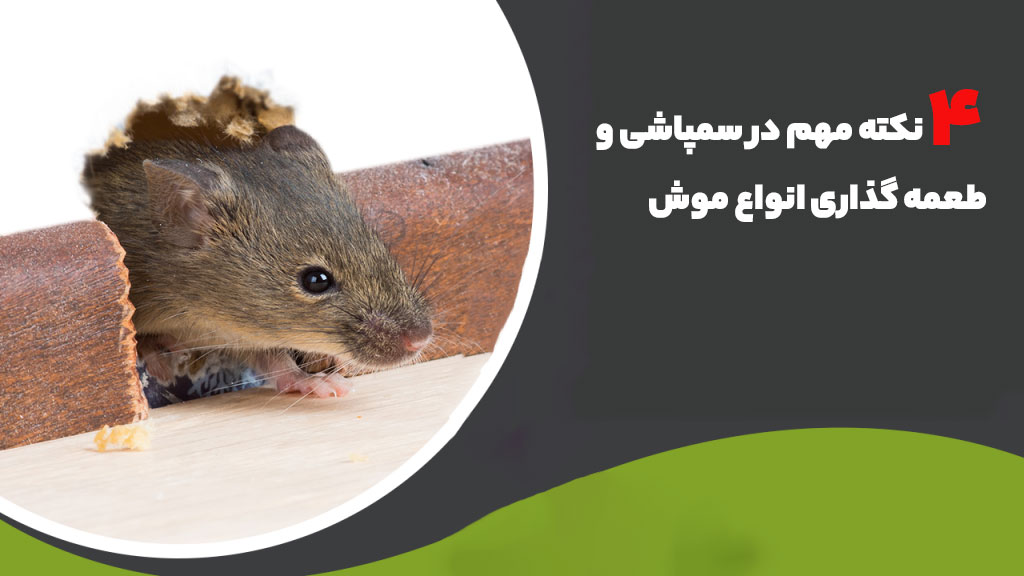 هشدارهای جدی در سمپاشی و طعمه گذاری موش