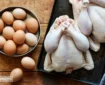 سیگنال عجیب به بازار مرغ | افزایش قیمت تخم مرغ قطعی شد؟