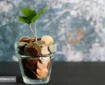 شرایط دریافت وام ۳۰۰ میلیون تومانی برای بازنشستگان  (۵ دی)