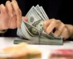 پیش بینی قیمت دلار تا اسفند ۱۴۰۳ | بازار ارز به کدام سمت می رود؟