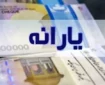 مجلس فرمول حذف یارانه نقدی را پیدا کرد