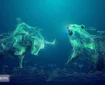 پیش بینی بورس با سیگنال  نرخ سود سپرده‌ ها