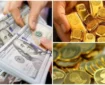 پیش بینی سود سکه های پیش فروش شده در ۱۴۰۴