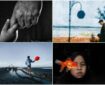 گزارش تصویری| برندگان مسابقه‌ی عکاسی موبایل شیائومی ۲۰۲۴