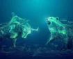 بورس امروز صعودی تمام شد + نقشه بازار ۲۶ اسفند