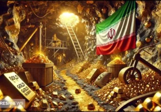 پول نقد خود را تبدیل به ارز و طلا کنید | راهکارهای یک اقتصاددان برای بقا