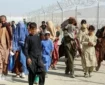 دفاع تمام قد از اتباع خارجی | ایرانی‌ها سراغ خیلی از این شغل‌ ها نمی‌روند
