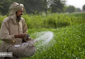 قانون سخت مالیاتی برای اتباع افغان | دوران زندگی ارزان در تهران تمام شد