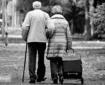 کیش به روی بازنشسته‌ها باز شد؛ سفر با تخفیف ویژه از اردیبهشت ماه ۱۴۰۴