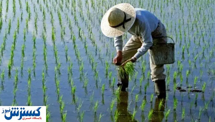 جزییات واریز مستمری مرداد صندوق بیمه اجتماعی اعلام شد