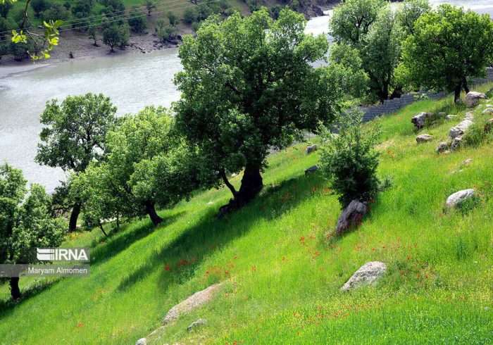 چندپاره شدن سازمان منابع طبیعی پیامدی جز تخریب سرزمین ندارد چندپاره شدن سازمان منابع طبیعی پیامدی جز تخریب سرزمین ندارد