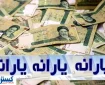 یارانه نقدی باید مشروط شود
