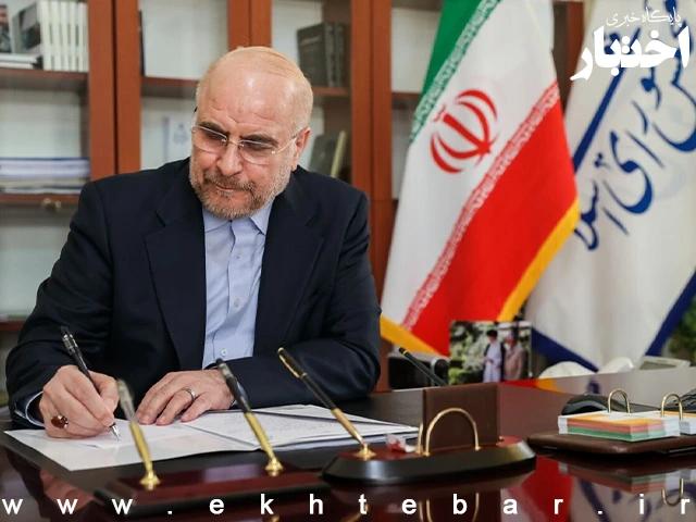 ایراد رییس مجلس به آیین‌نامه اجرایی رشته‌های تحصیلی مرتبط برای انتخاب شهردار