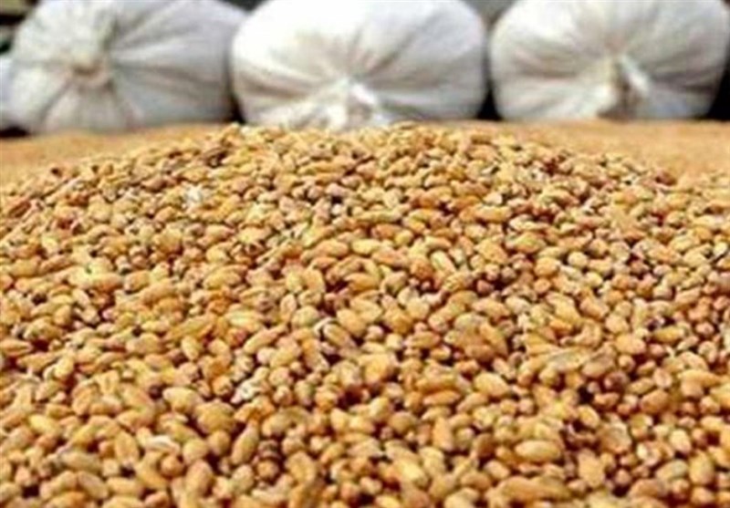 ادعای تعطیلی 75 درصد کارخانجات خوراک دام به دلیل نبوده نهاده